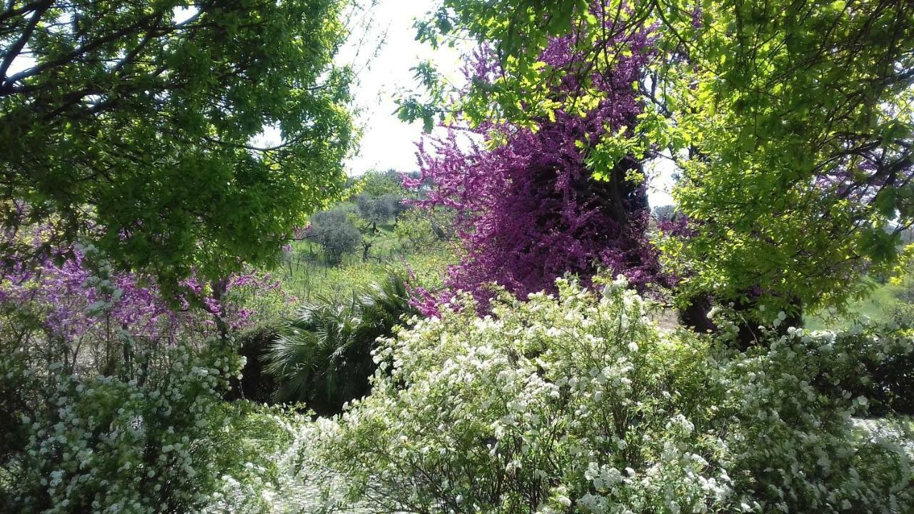 Il Parco Holiday - Locazione Turistica Fonte Nuova Εξωτερικό φωτογραφία